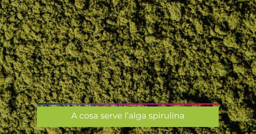 spirulina-alga-energia-integratore-polvere_verde-polvere-alga_spirulina