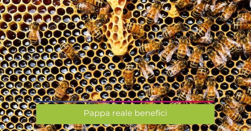 pappa_reale-benefici-propoli-alveare-miele-api-integratore