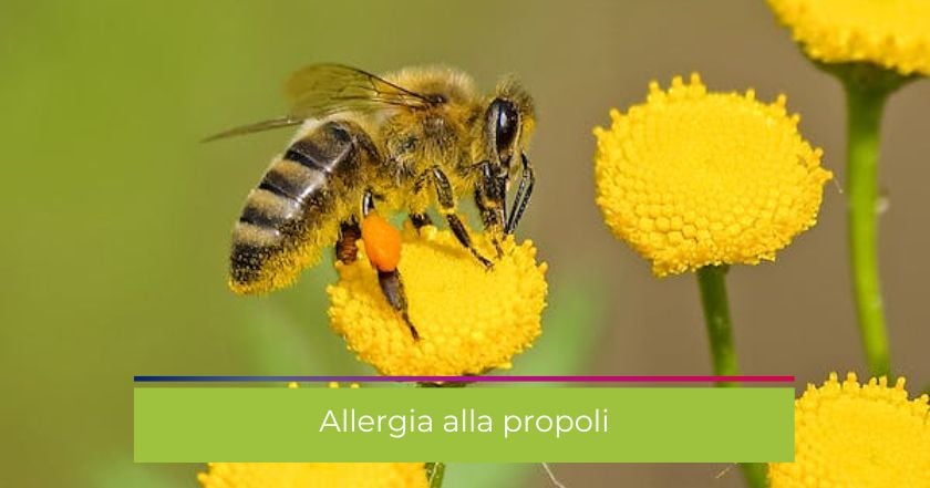 propoli-allergia-effetti_collaterali-integratori-tosse-raffreddore-gola-influenza