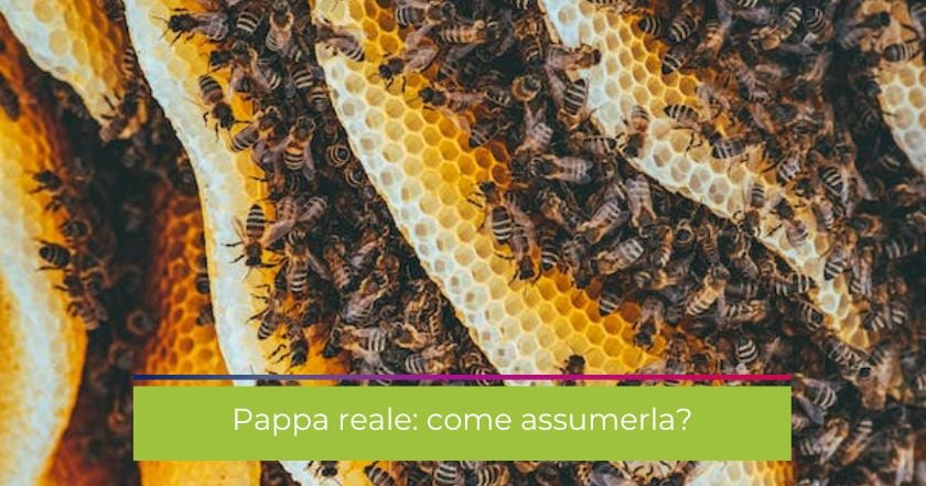 pappa_reale-integratore-api-dosaggio-energia-salute