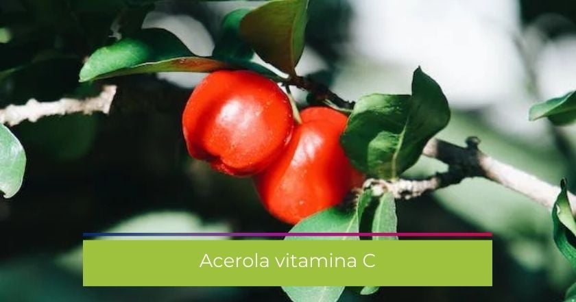 acerola-vitamina-vitamina_c-integratore-difese-sistema_immunitario